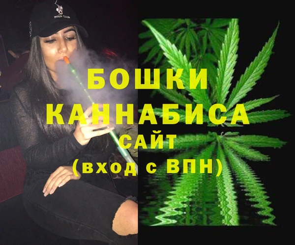стаф Аркадак