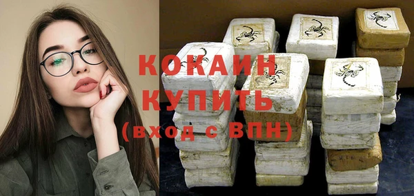 стаф Аркадак