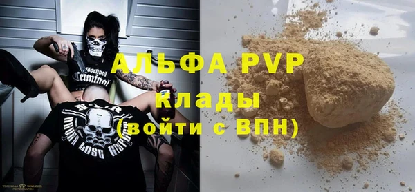 стаф Аркадак