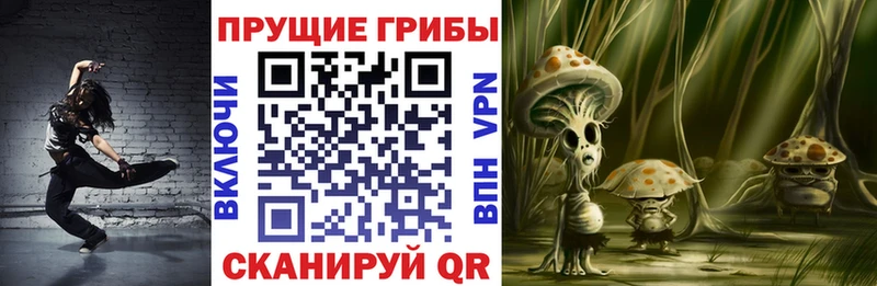 Галлюциногенные грибы MAGIC MUSHROOMS  Купить где  Сухой Лог 